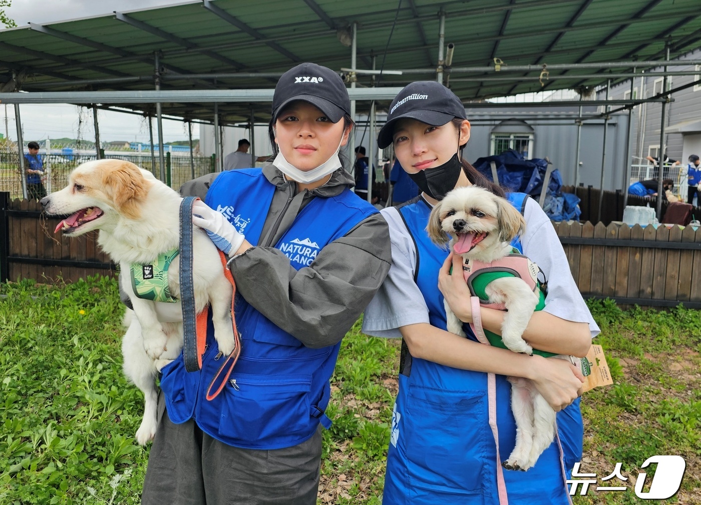 윤발란스 이미지