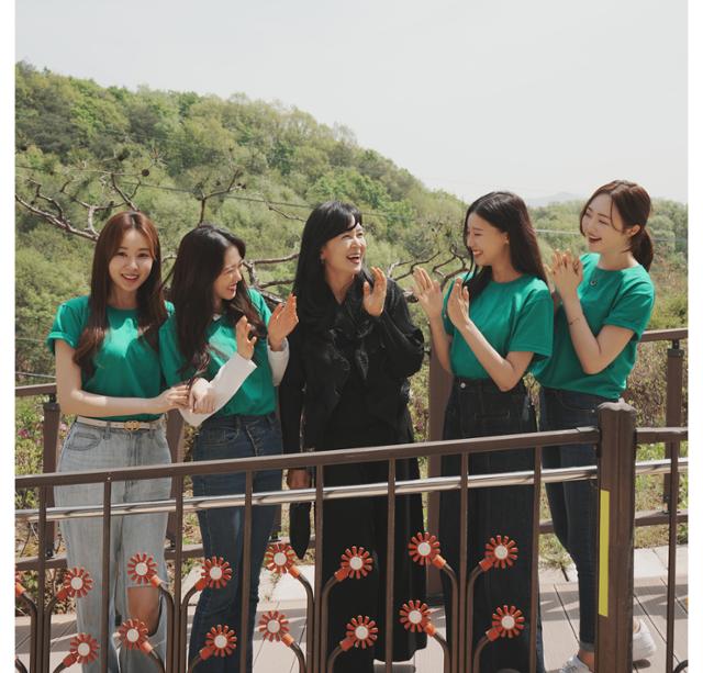 법인향림 이미지