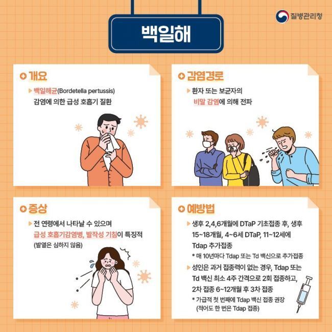 반짝 이미지