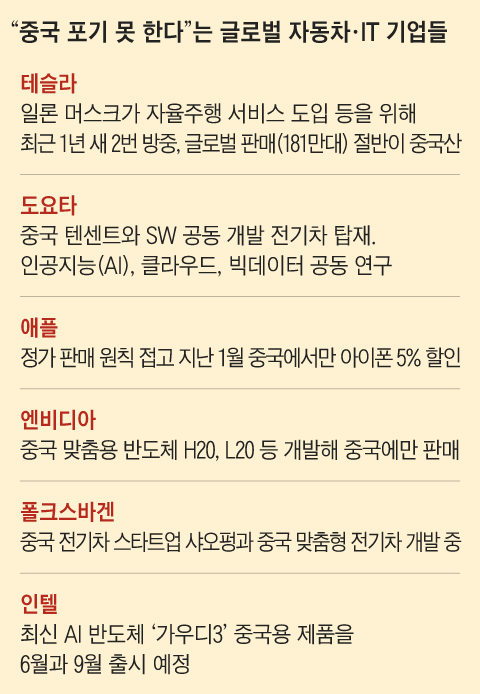 장성글로벌 이미지