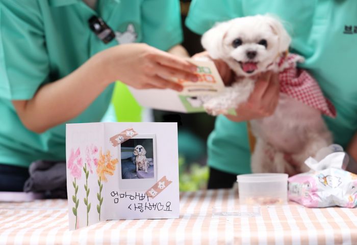 현대백화점현대프리미엄아울렛 이미지