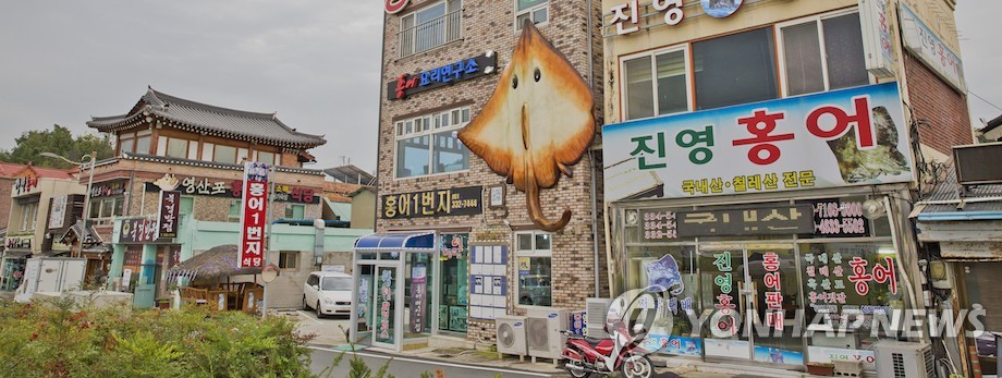 나주홍어 이미지