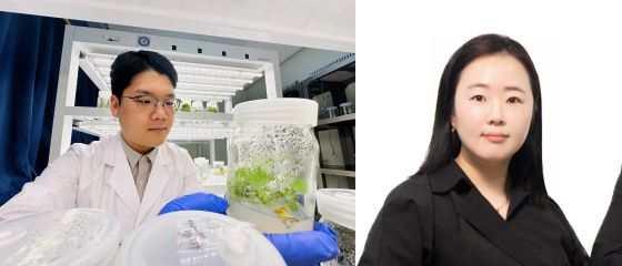 머쉬앤 이미지