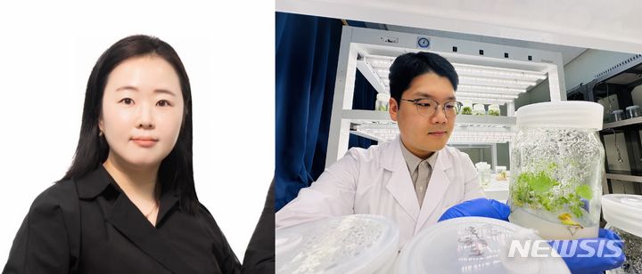 머쉬앤 이미지