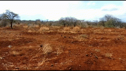 (사진=저스트디짓 홈페이지)