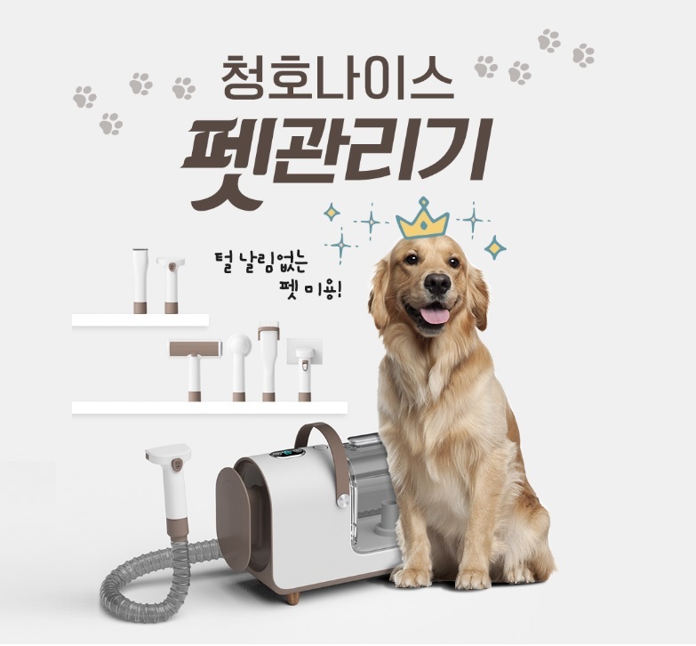 우리강아지 이미지
