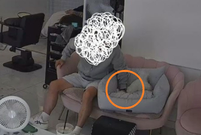 가량미용실 이미지