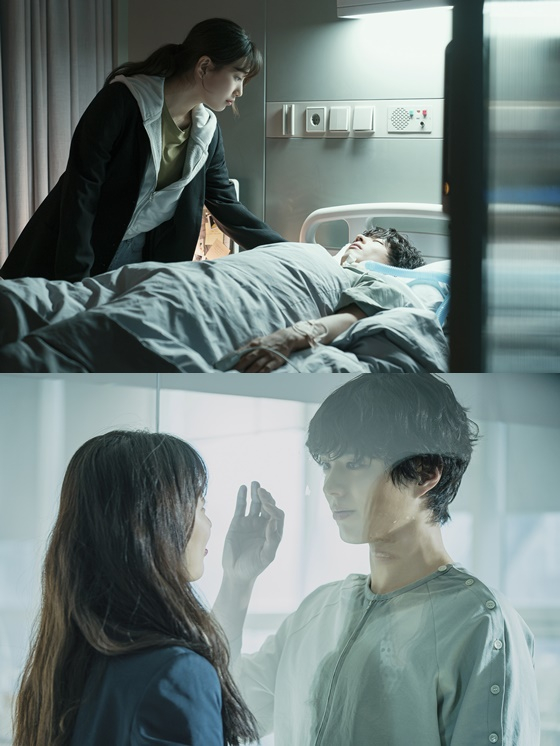 원더랜드 이미지