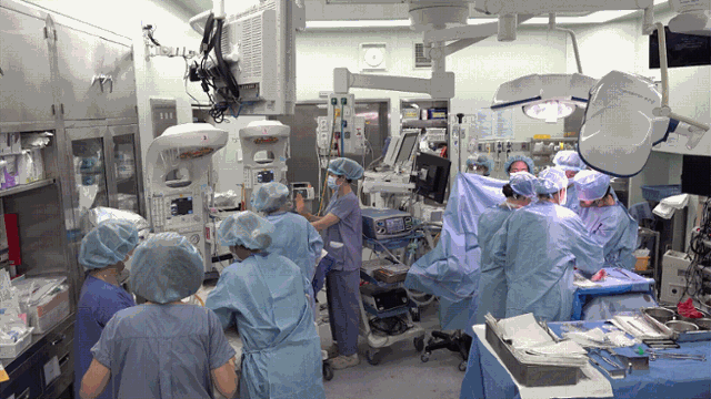 3월 14일 분당서울대병원 의료진이 제왕절개 수술을 하고 있다. 정다빈 기자