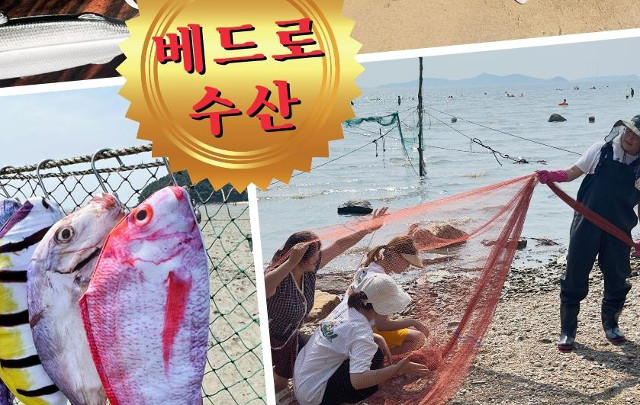 베드로수산 이미지