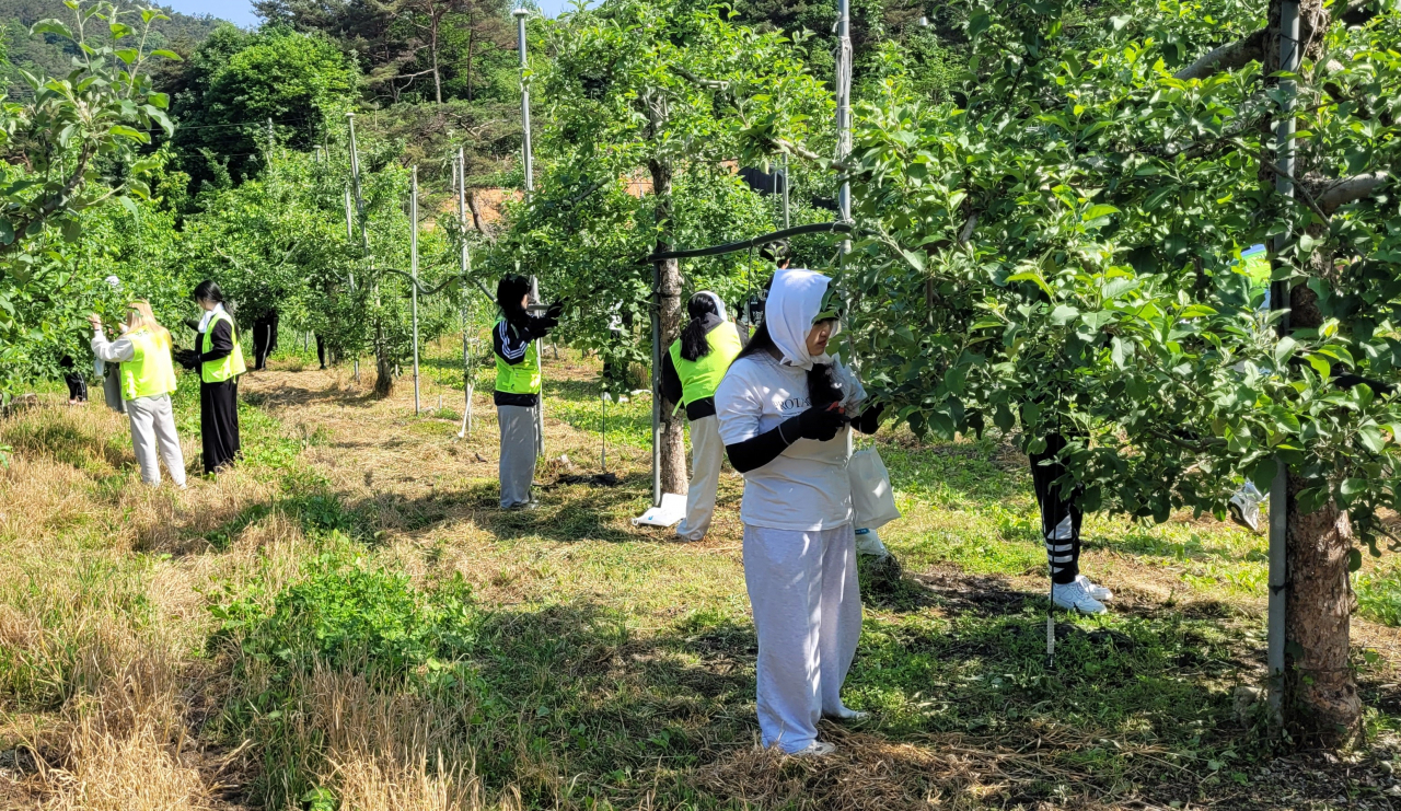 활동사진 이미지