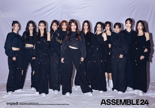 트리플 이미지
