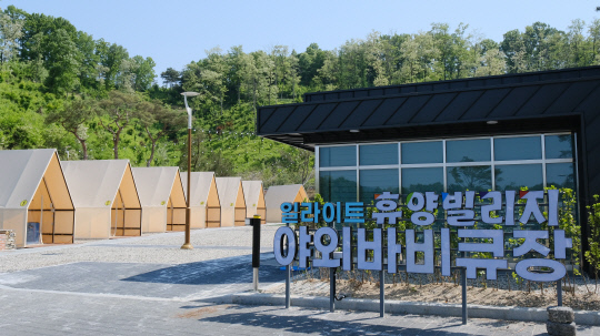 영동생선 이미지