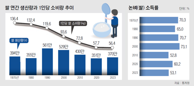 보루 이미지