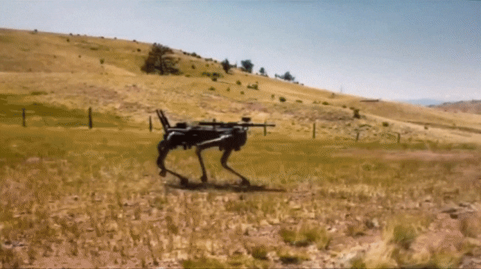 미 해병대 특수작전사령부(MARSOC)가 인공지능(AI) 소총을 장착한 4족 로봇개를 테스트하고 있다. /오닉스