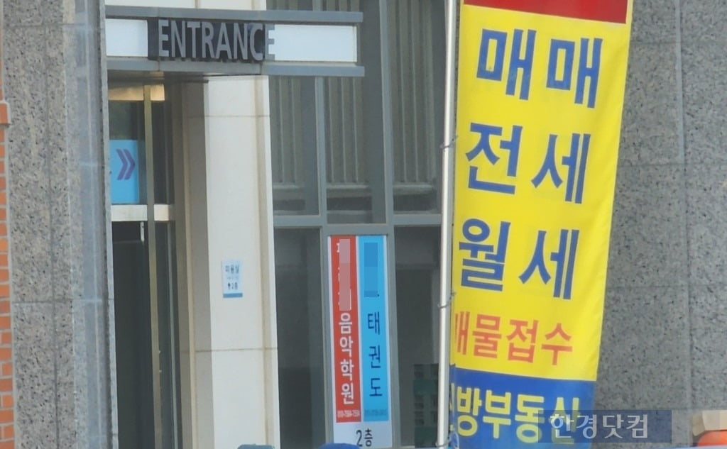 무피 이미지