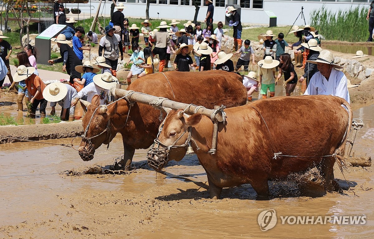 시연 이미지