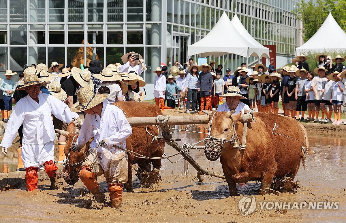 시연 이미지
