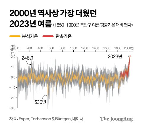 나이테 이미지