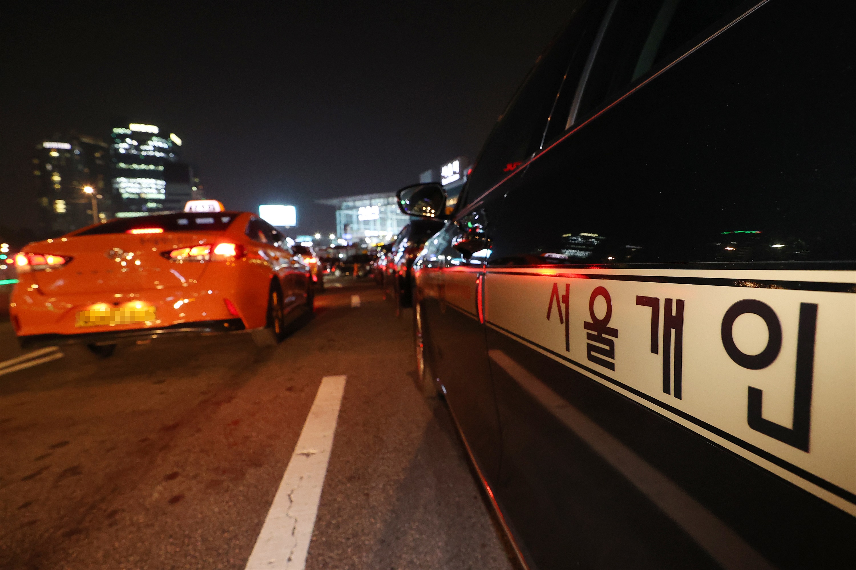 한줄기 이미지