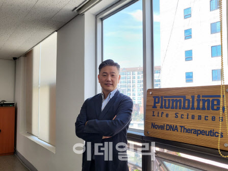 플럼라인 이미지
