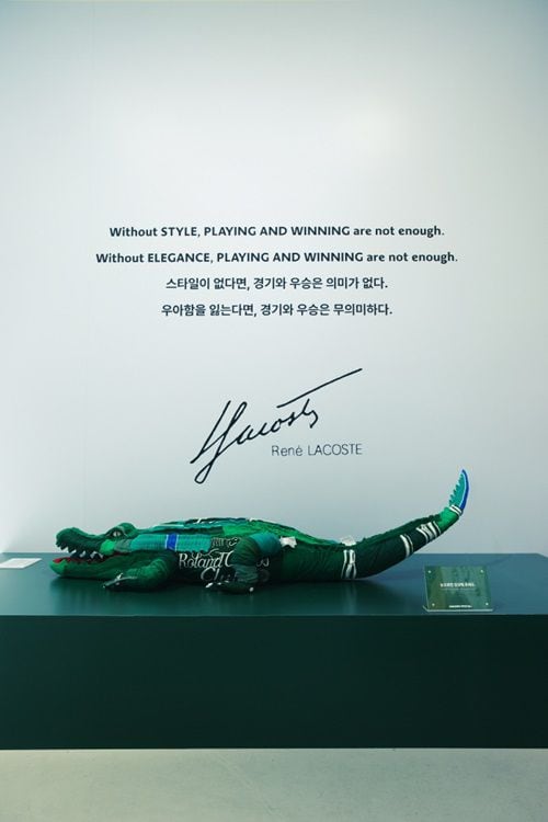 동일라코스테 이미지