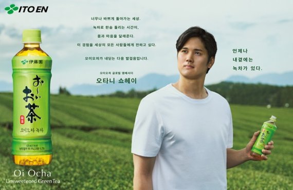 오이다 이미지