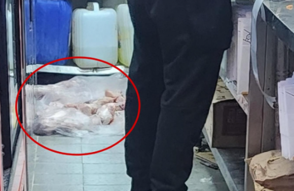생닭집 이미지