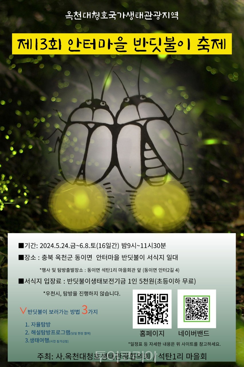 반딧불이 이미지