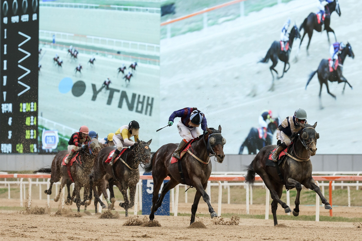 우승축산 이미지
