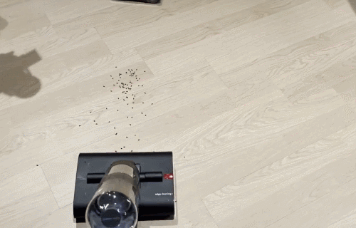 다이슨 워시(Wash)G1 물청소기로 쌀알을 청소하는 모습 / [영상=안서진 기자]