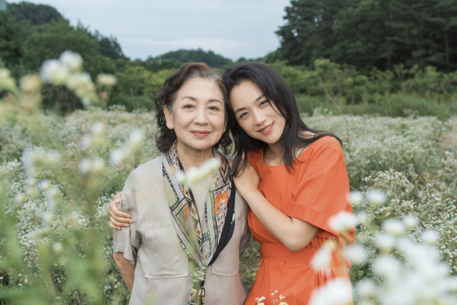 원더랜드 이미지
