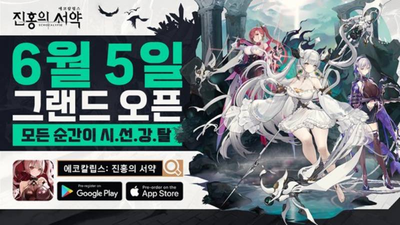 에코 이미지