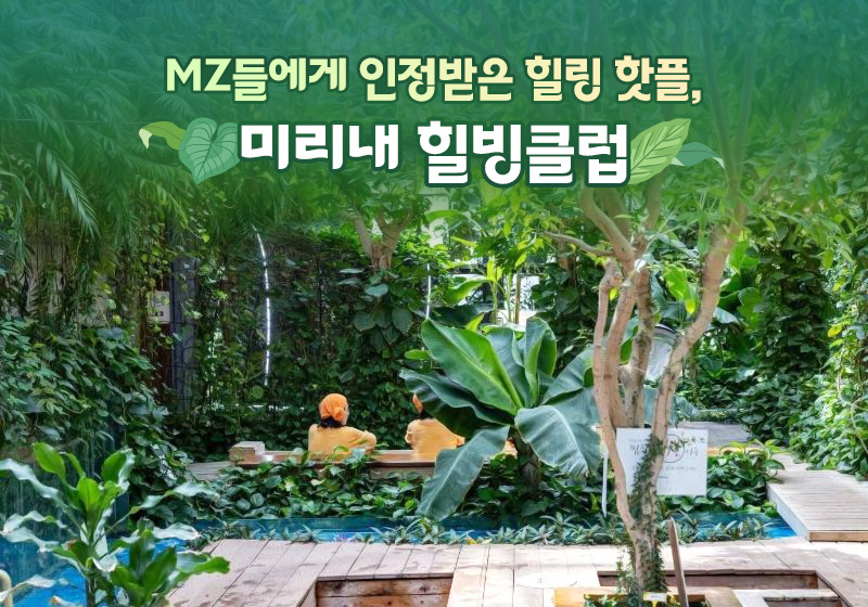 미리내 이미지