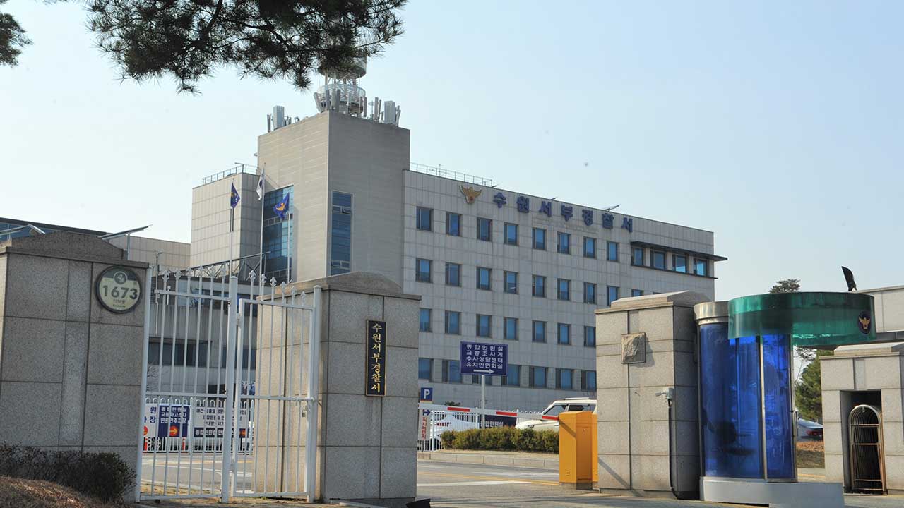돈만이 사진 6