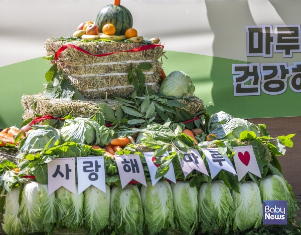 에버마루 이미지