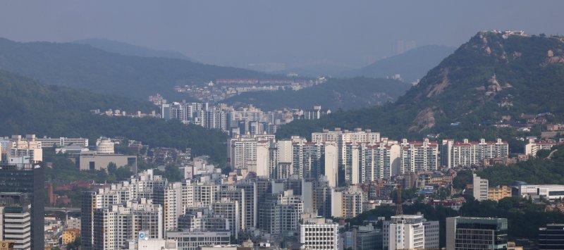 진성회계법인 이미지