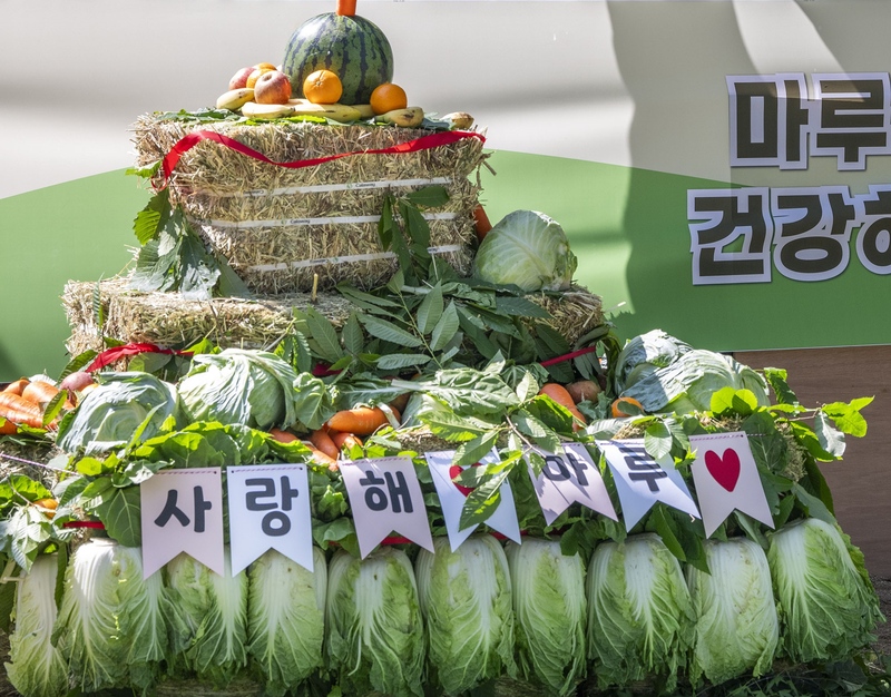 에버마루 이미지