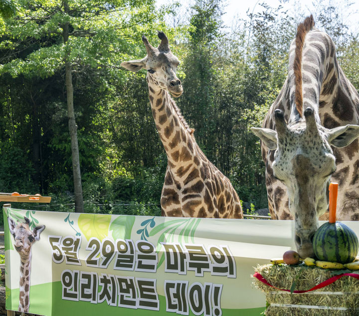 한울마루 이미지