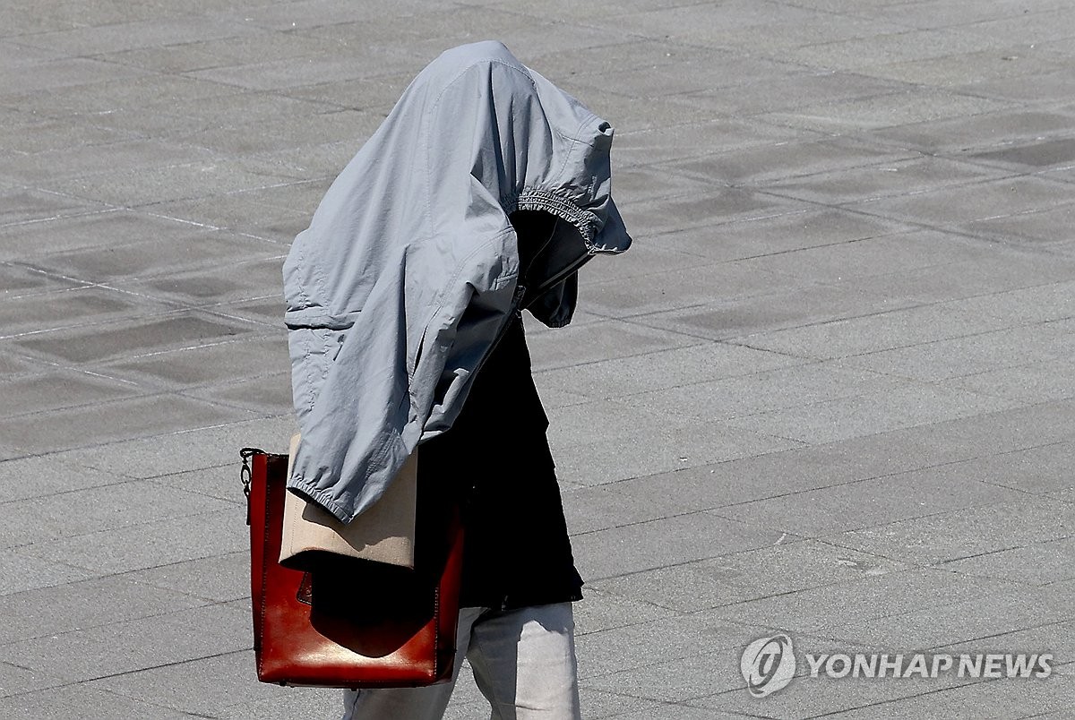 햇볕 이미지