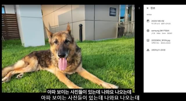 김&강 컴퍼니 이미지