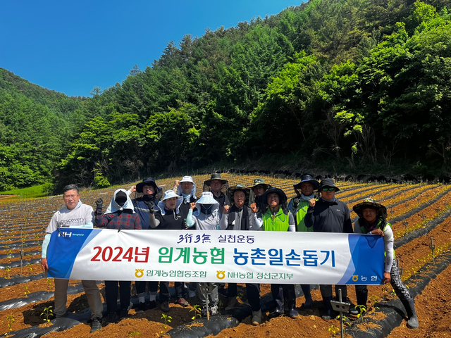 임계농업협동조합 이미지