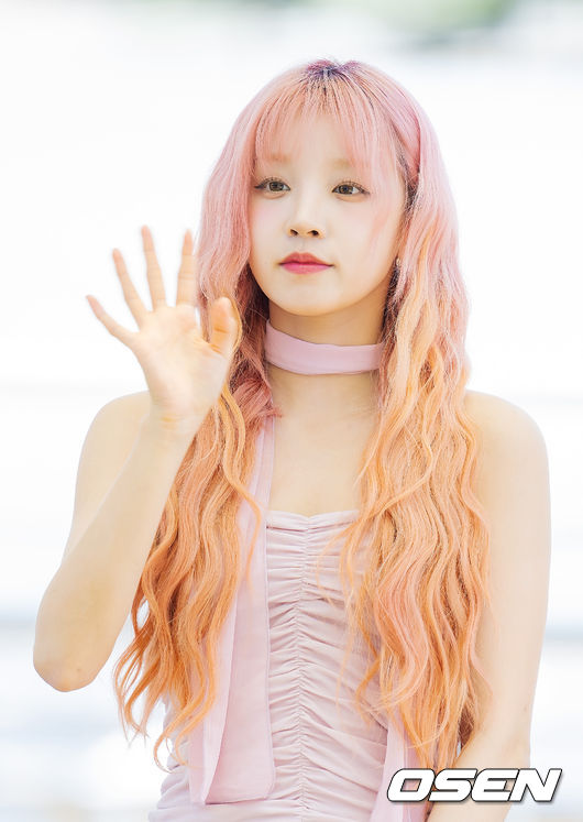 핑크헤어 이미지