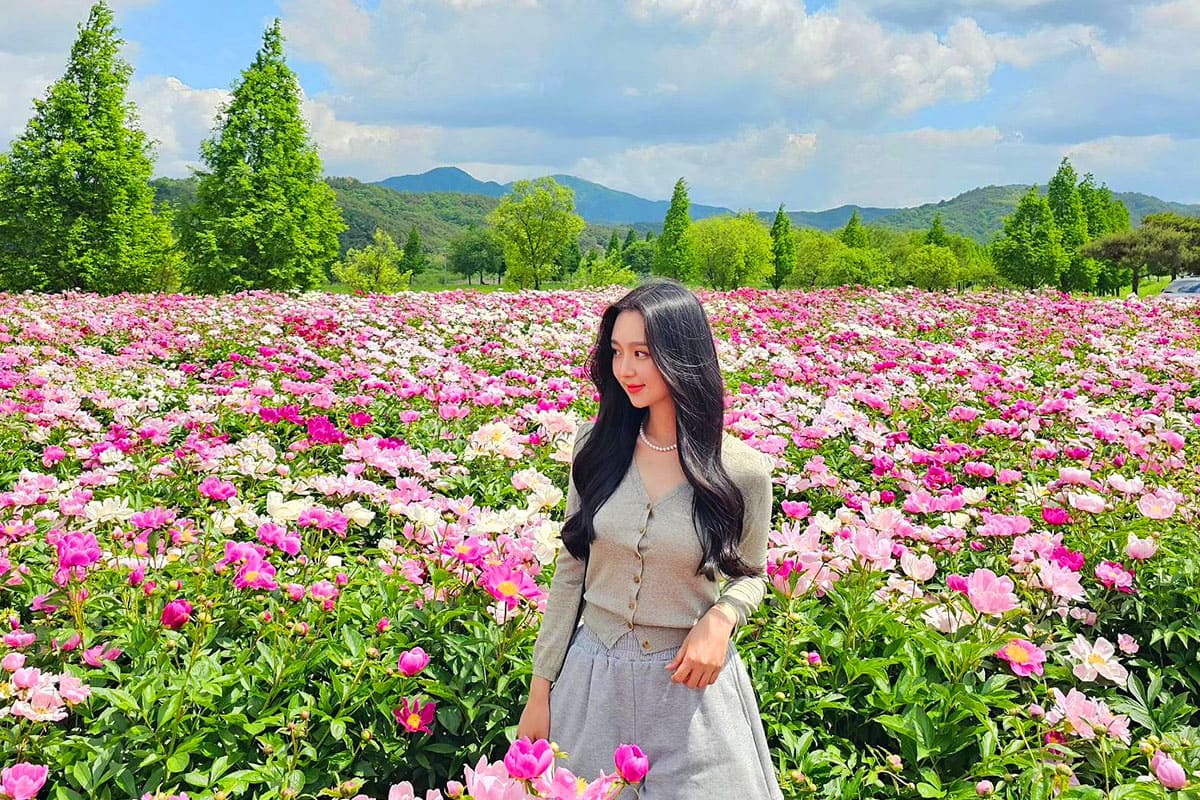 모란이 피기까지는 시 – 김영랑 시인