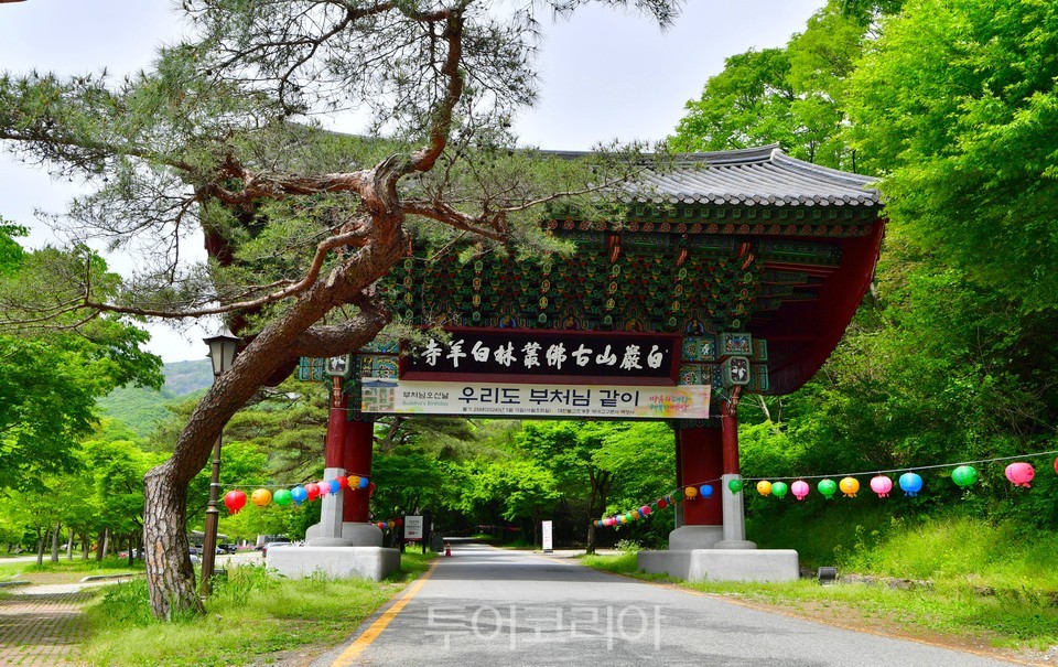 장성 이미지