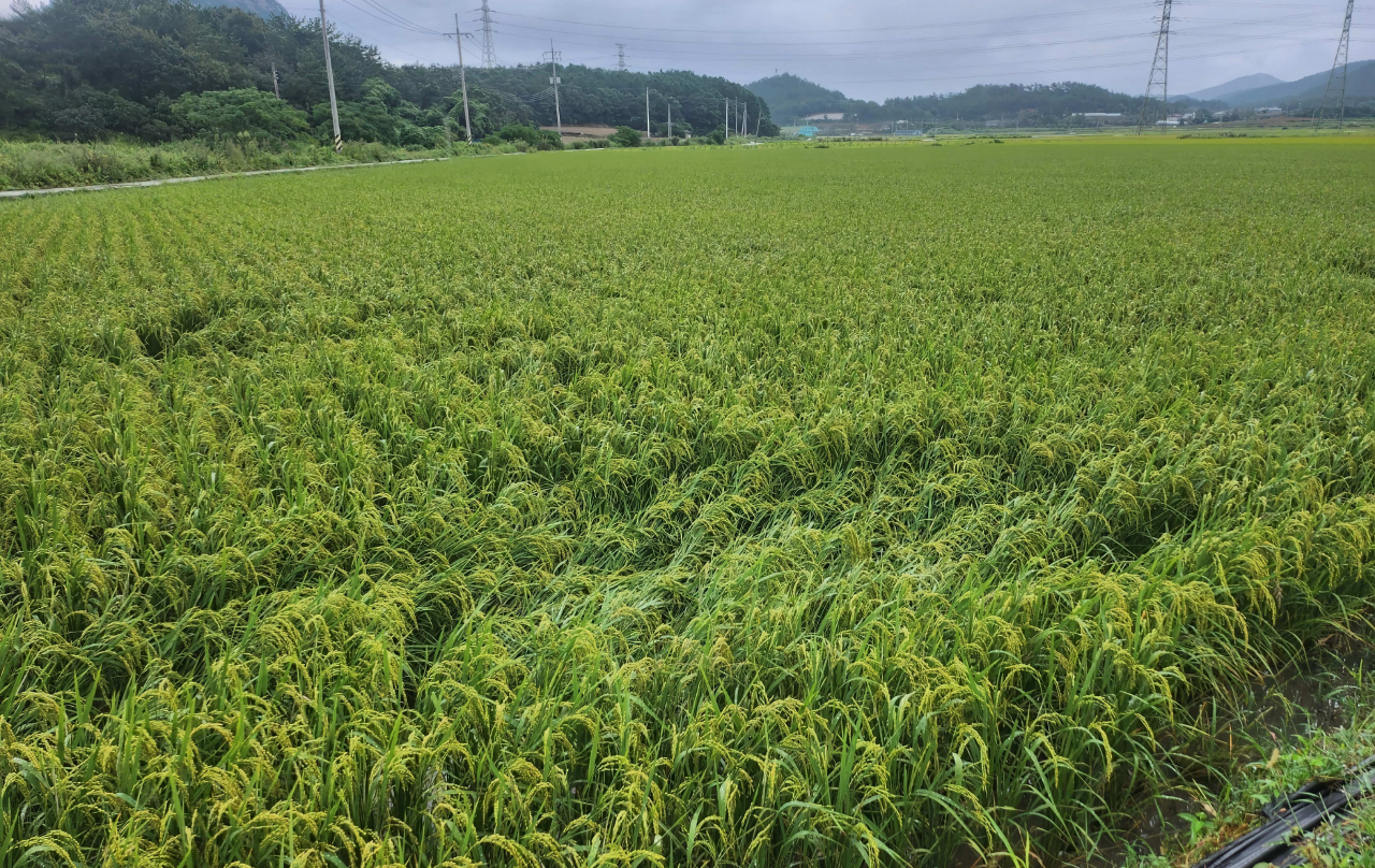 단지 이미지