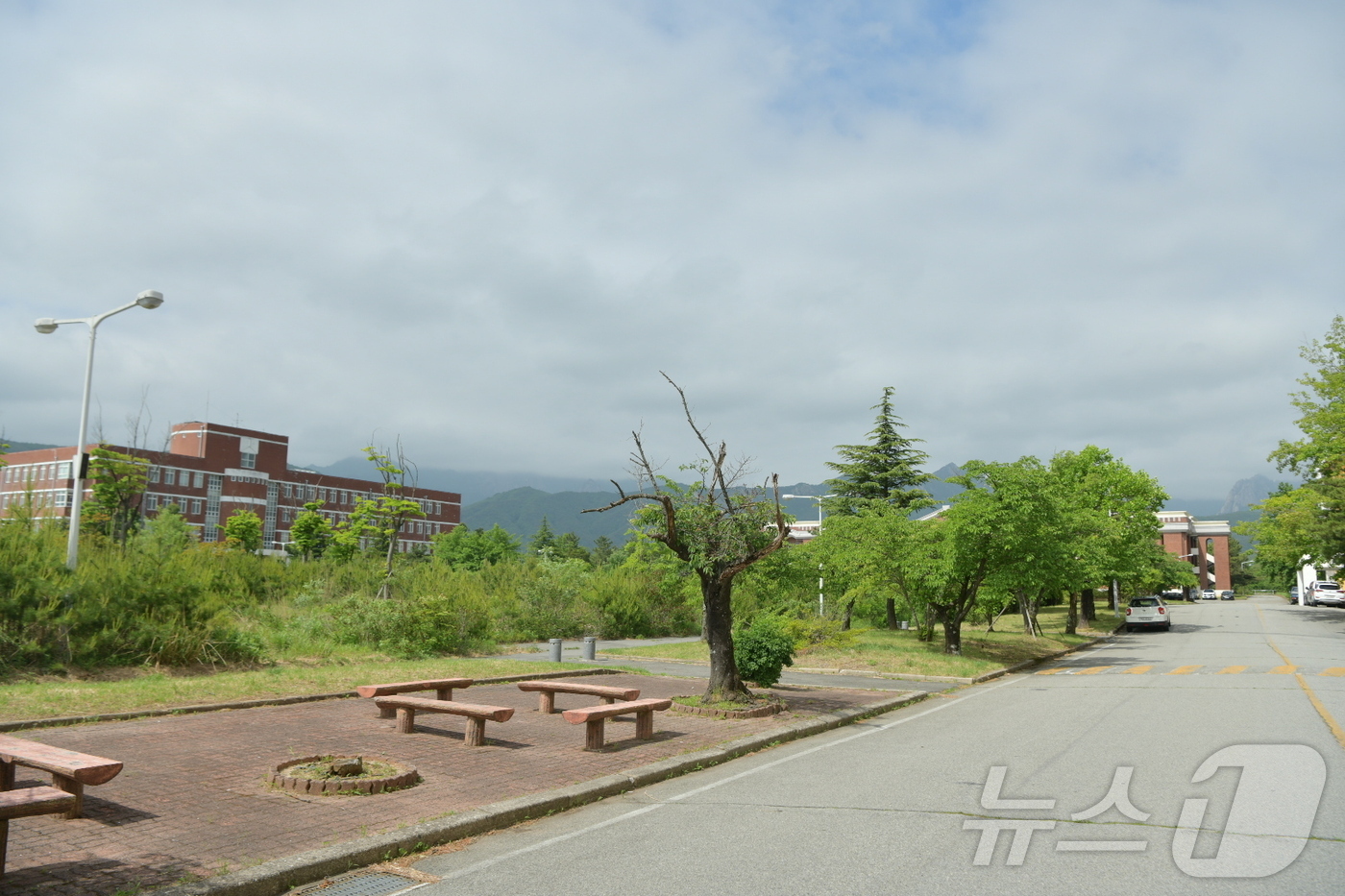 학교법인경동대학교 이미지