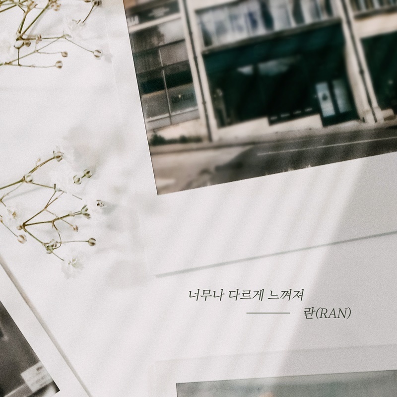 란이 이미지
