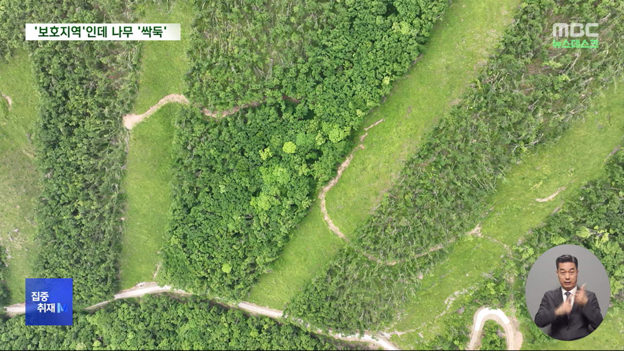 [집중취재M] 보호지역 지정하고 대규모 벌채‥백두대간 파헤친 산림청 - kakaoTV [집중취재M] 보호지역 지정하고 대규모 벌채‥백두대간... 