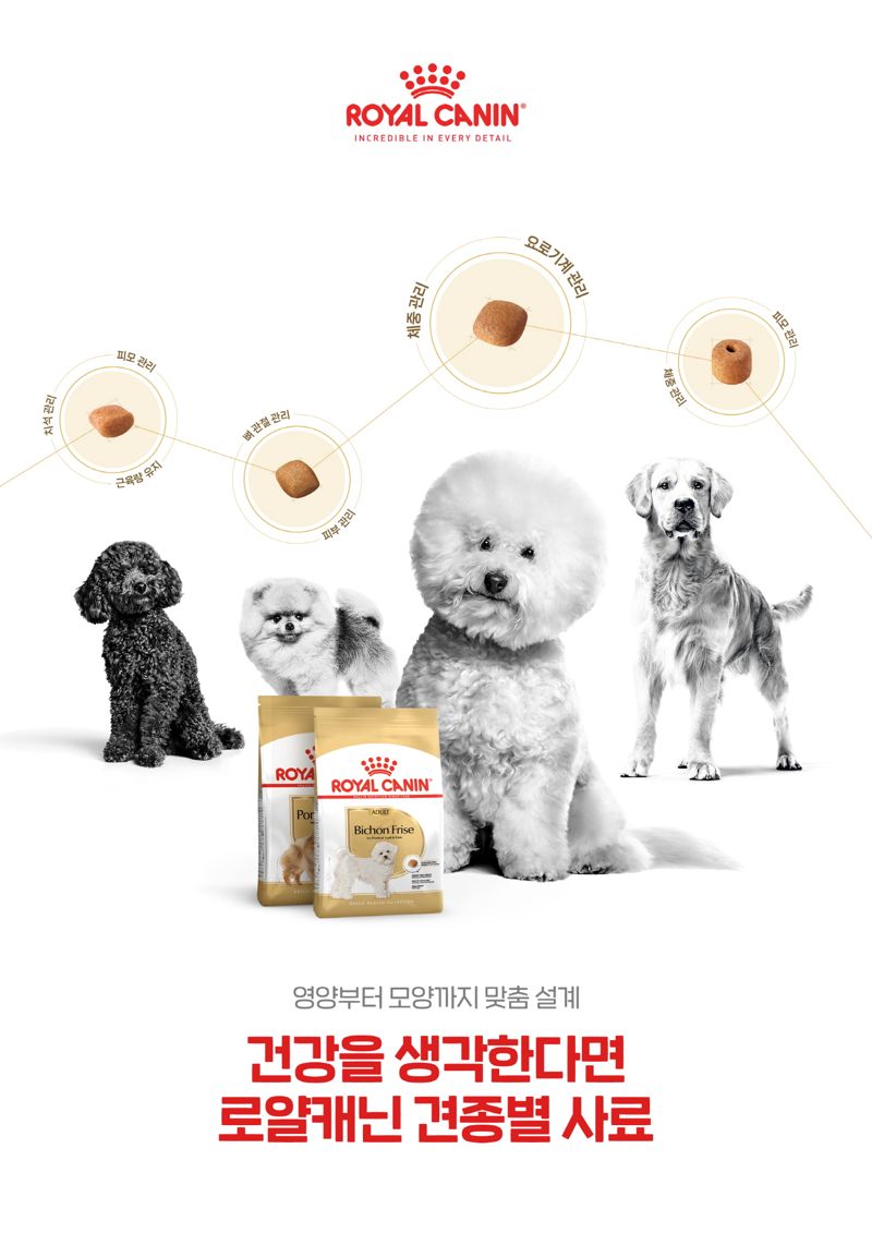 로얄체형관리 이미지